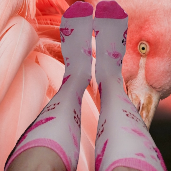 Socks - Picture 1 of 4